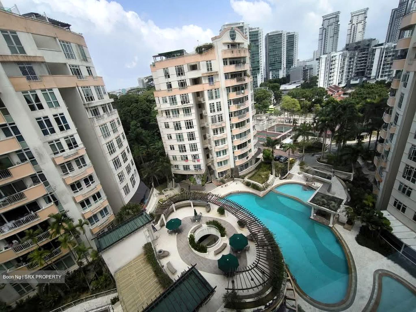 The Petals (D23), Condominium #602364941